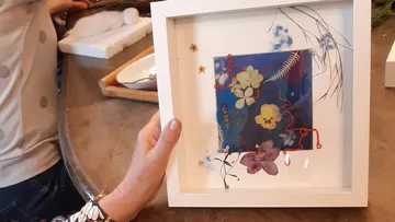 Ein gerahmtes Kunstwerk zeigt gepresste Blumen und Pflanzen.